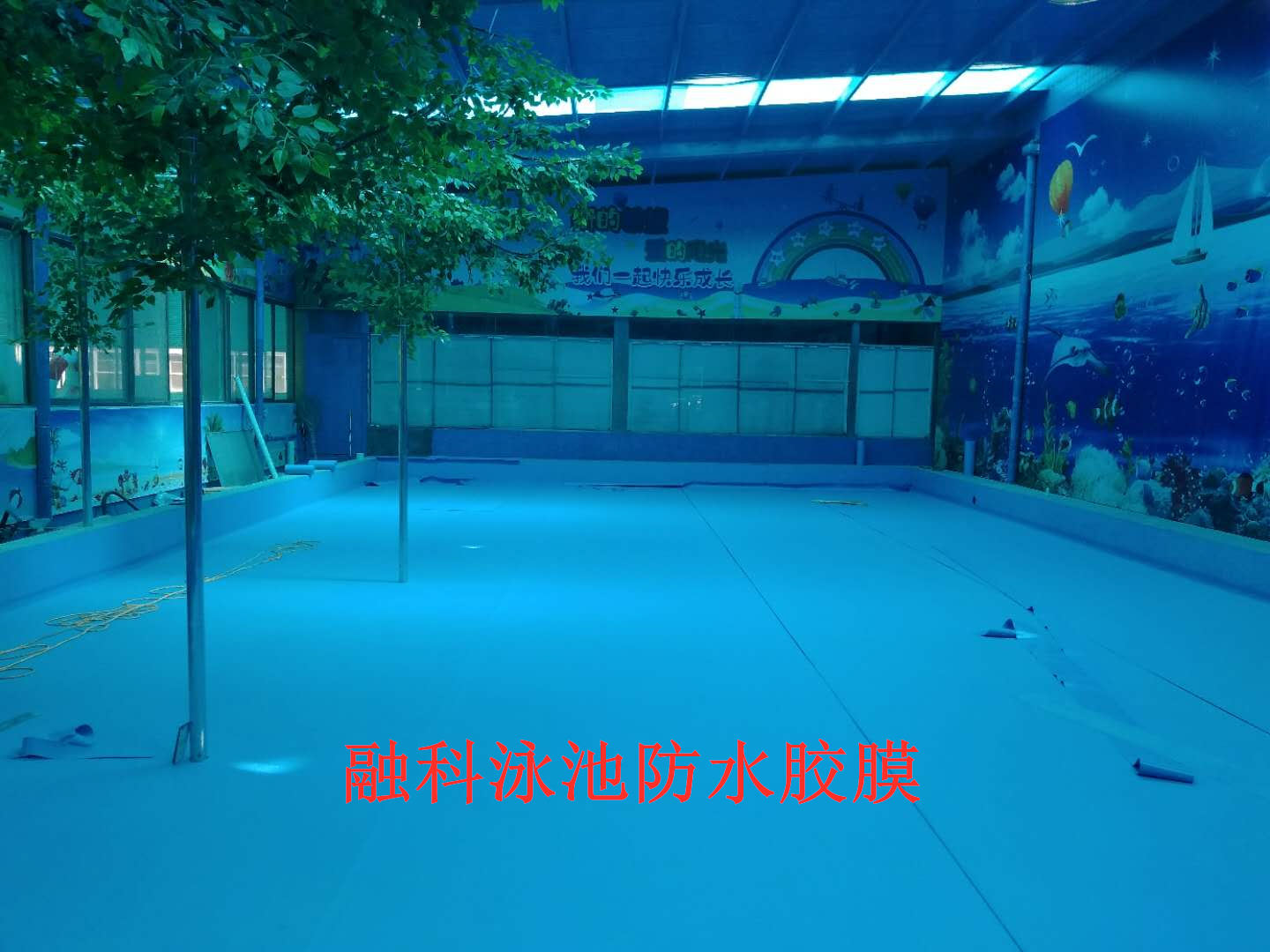 ˮĤ15552102907.jpg